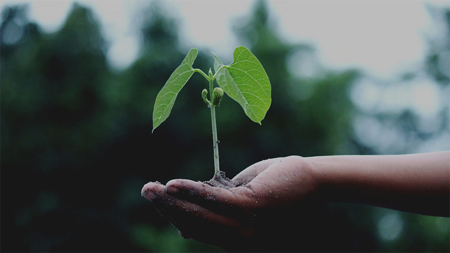 Vers un emballage ecologique en vente à emporter et livraison