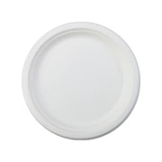 Photo du produit 2ASBIO26 - Assiette pulpe ronde CANNA - d260 mm - Dinovia