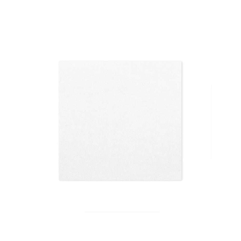 Photo du produit A582424BL2 - Serviette papier blanche - 24x24 cm 2 plis - Dinovia