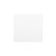 Photo du produit A582424BL - Serviette papier blanche - 24x24 cm 1 pli - Dinovia