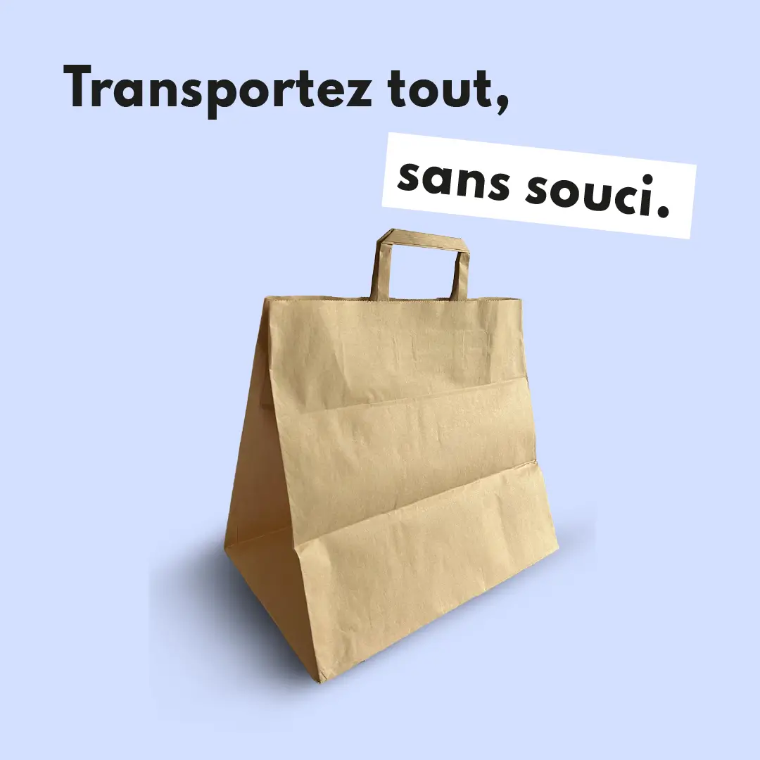 Photo du produit SACGAMES - Sac en papier kraft avec poignées plates - Dinovia