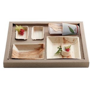 SOCLE carton - Plateau Repas BIODINE KRAFT NC