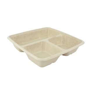 Bento pulpe 3 compartiments TERRA NOVE 